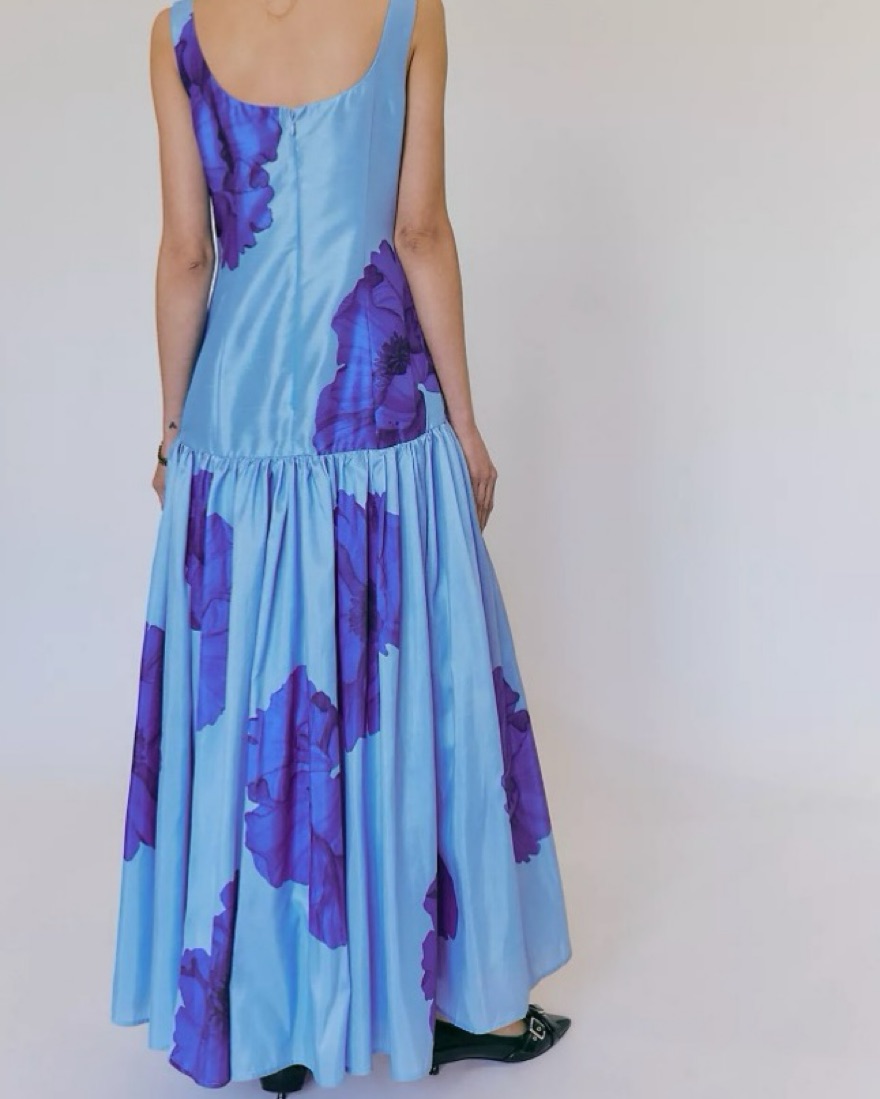 Hutch The Ridge Printed Blue Maxi Dress by Hutch - Pickle