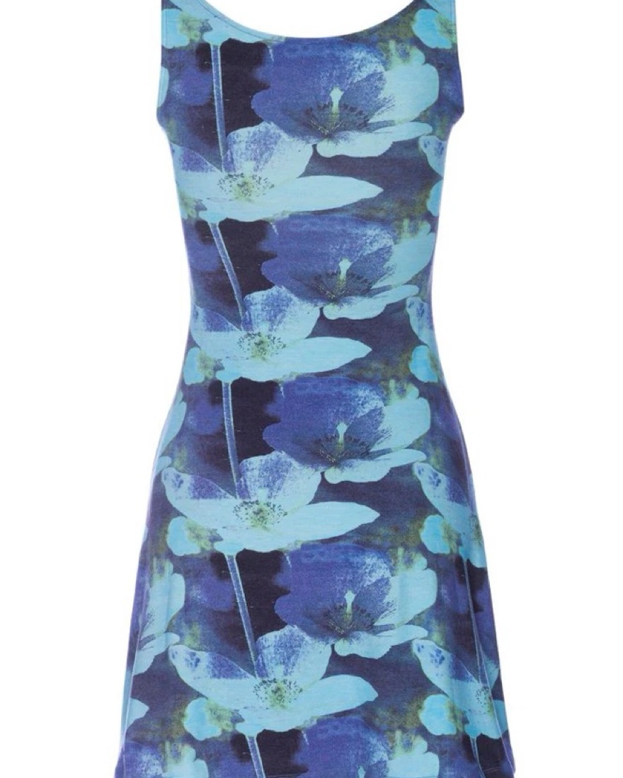 Miaou Ginger Dress in Azul by Miaou - Pickle