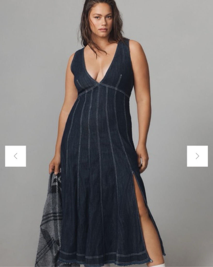 Pilcro Seamed V-Neck Denim Dress by Anthropologie - Pickle