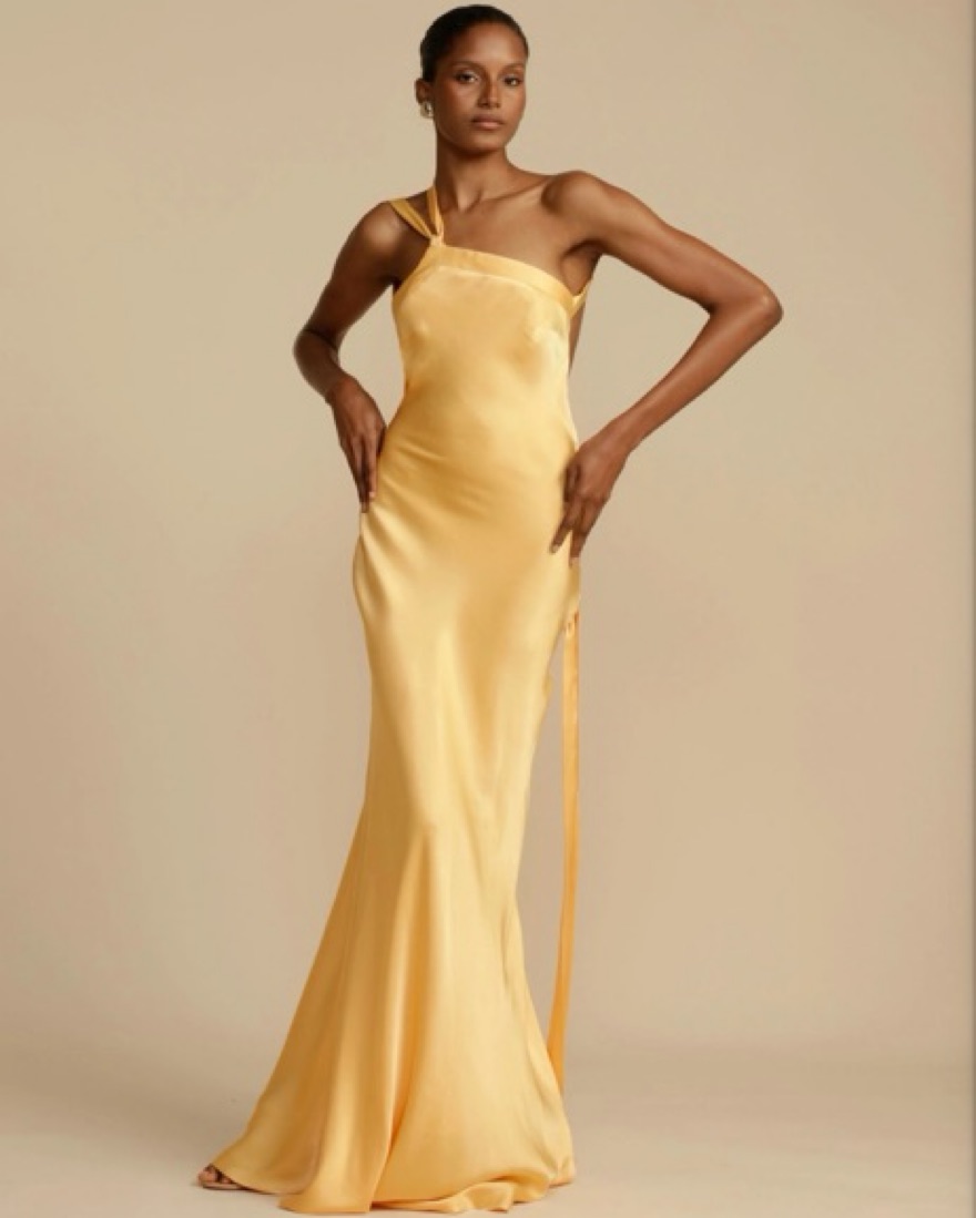 selene maxi dress NBD The Selene Maxi Dress in Black