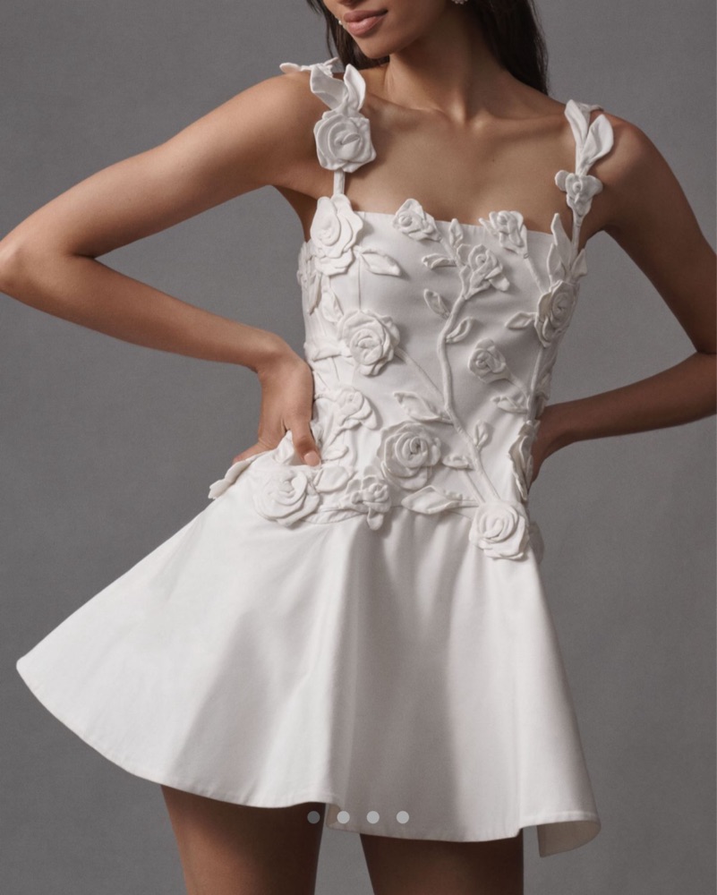 BHLDN Floral Applique Fit & Flare Dress by BHLDN - Pickle