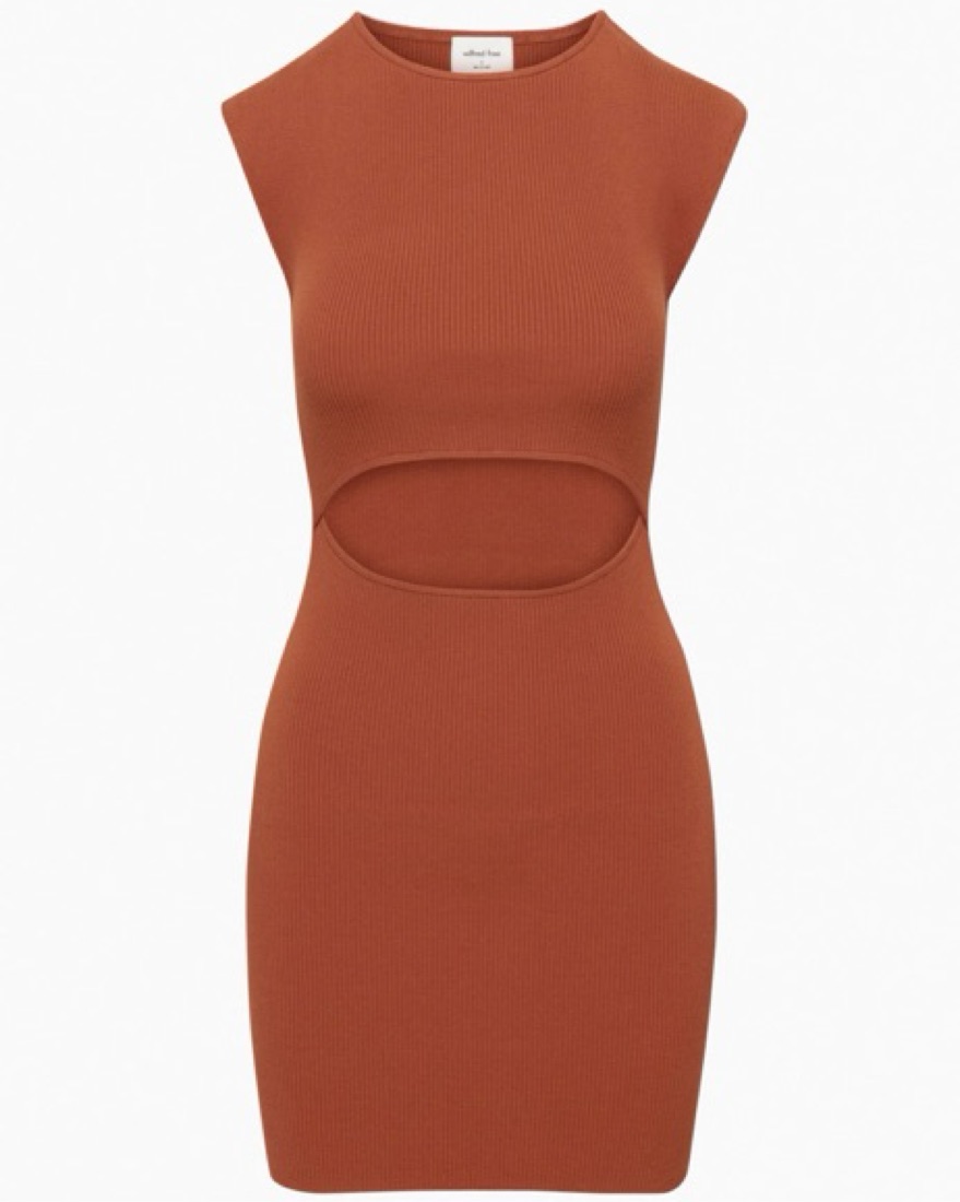 Rose様Aritzia Cutout Knit Mini Dress 2XS Cutout Knit Mini Dress | Aritzia CA