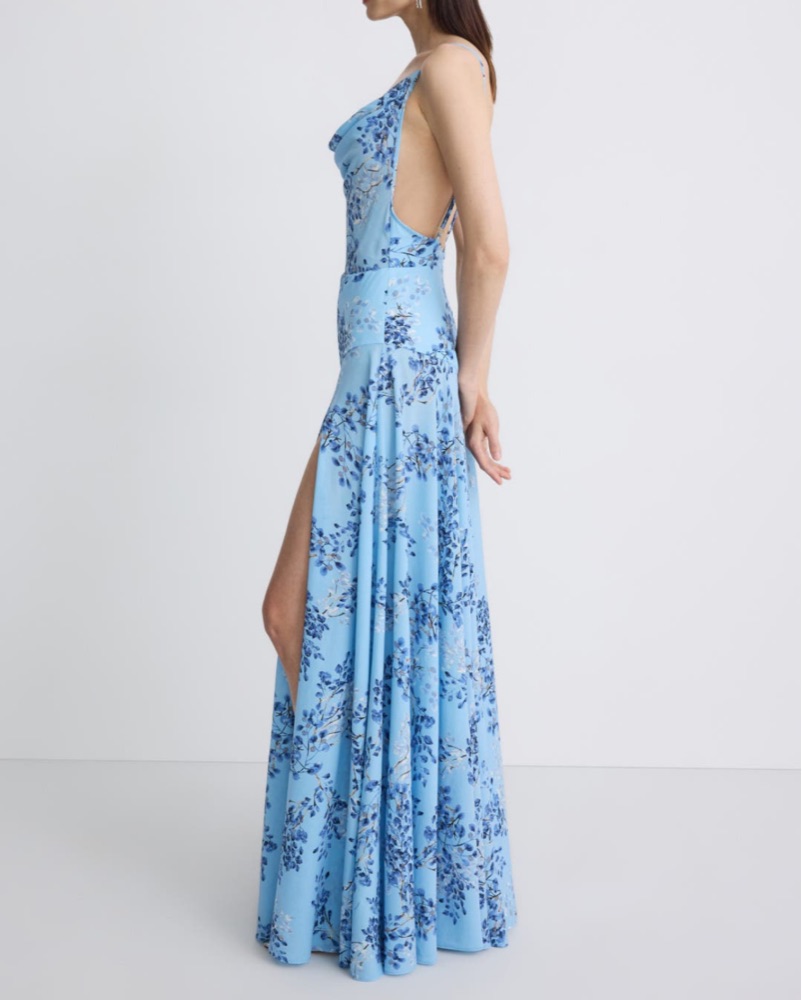 bronx and banco leo maxi dress Bronx and Banco Leo Belted Cowl-Neck Gown