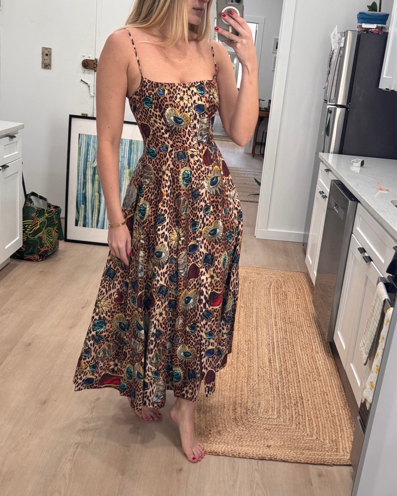 Corset Dress With Long Flare Skirt by Camilla | Pickle