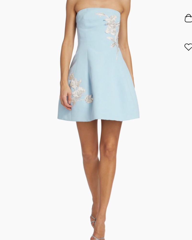 sachin & babi scoop-neck embroidered a-line mini dress Sachin & Babi Mitzi Dress - Ivory