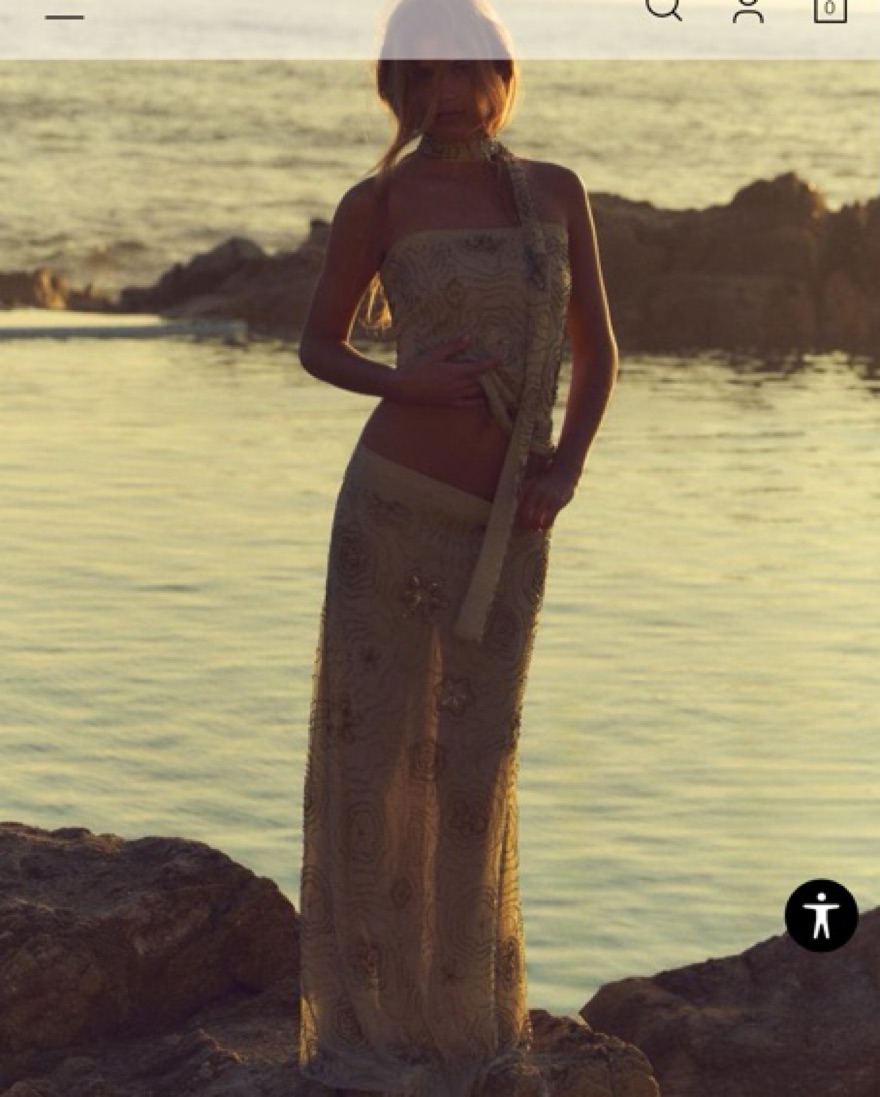 ✨ドアンゴ✨ Zara beaded top or skirt set | Pickle