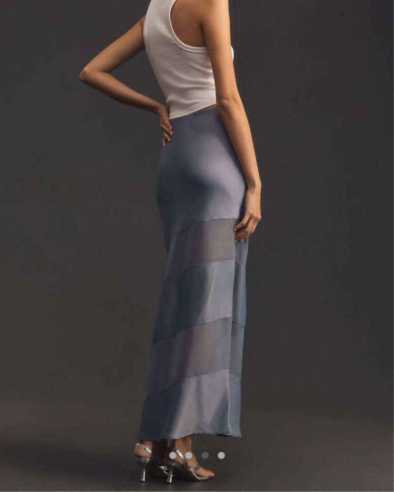 Sheer Stripe Slip Maxi Skirt by Anthropologie - Pickle