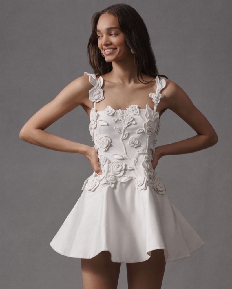 BHLDN Floral Applique Fit & Flare Dress by BHLDN - Pickle