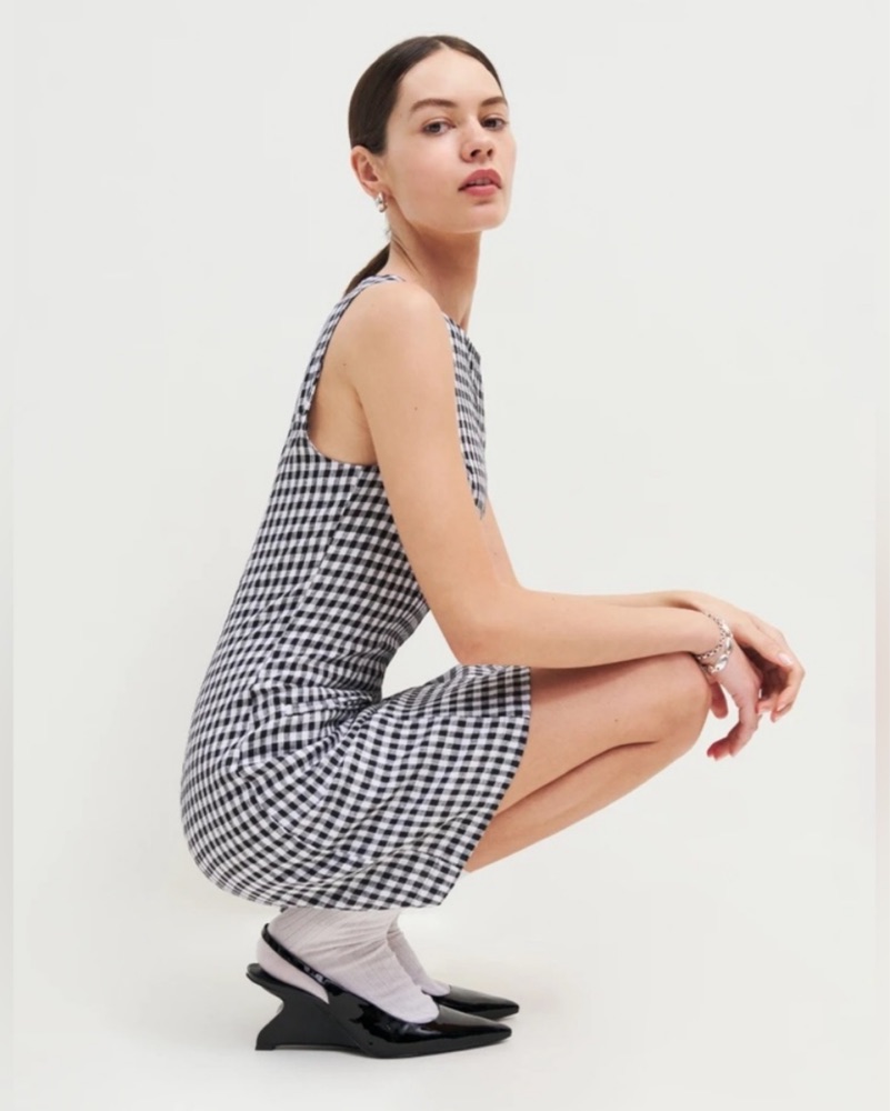 Reformation Blue And White Check Dress | Pickle