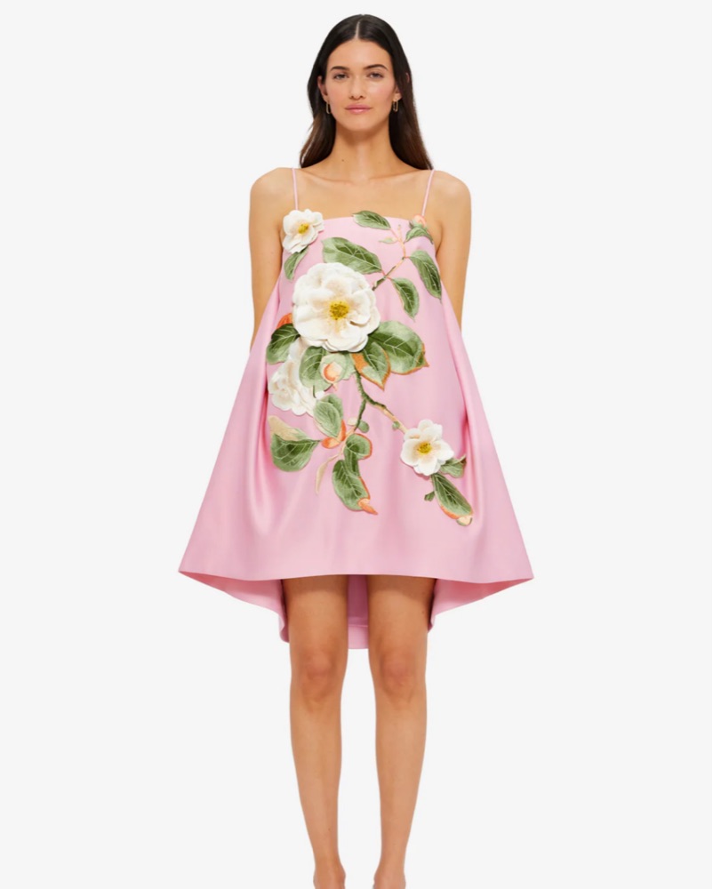 Leo Lin Felicia Applique Floral Dress by Leo Lin - Pickle