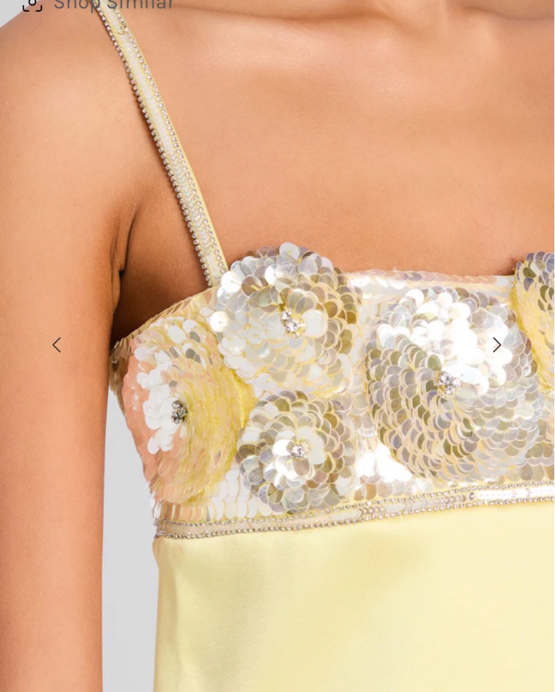 Retrofete Lark Embroidered Sequin Dress by Retrofete - Pickle