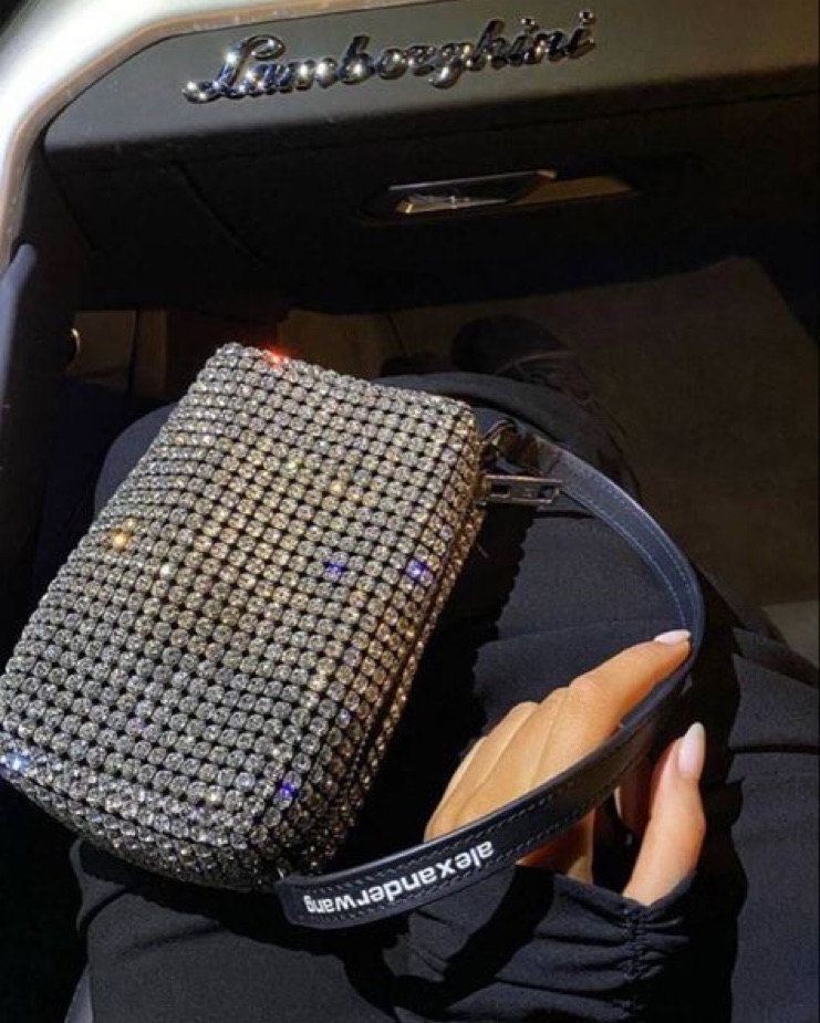 ALEXANDER WANG RHINESTONE BAG | Pickle