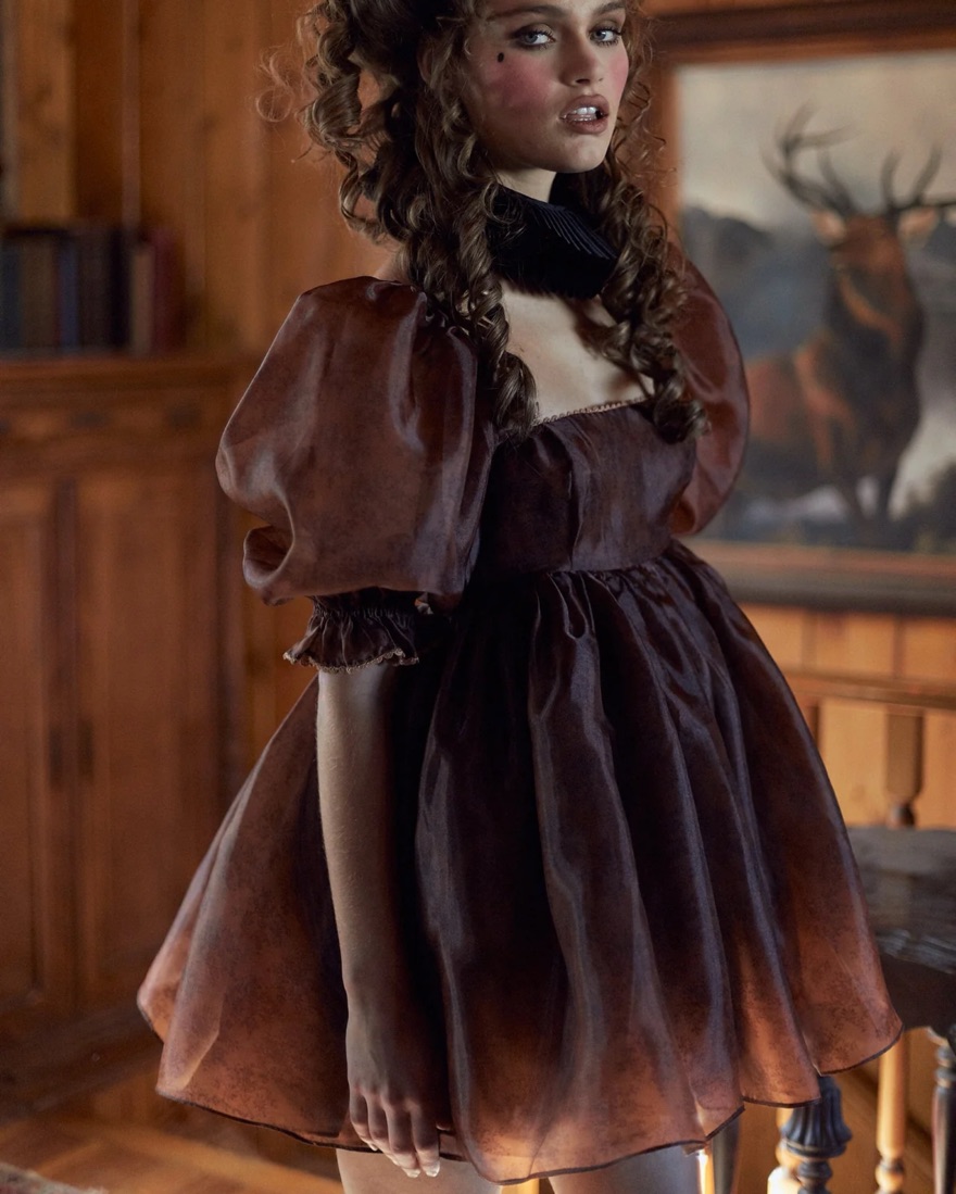 brown selkie dress Selkie Fete De Fleurs Romance Novella by Selkie