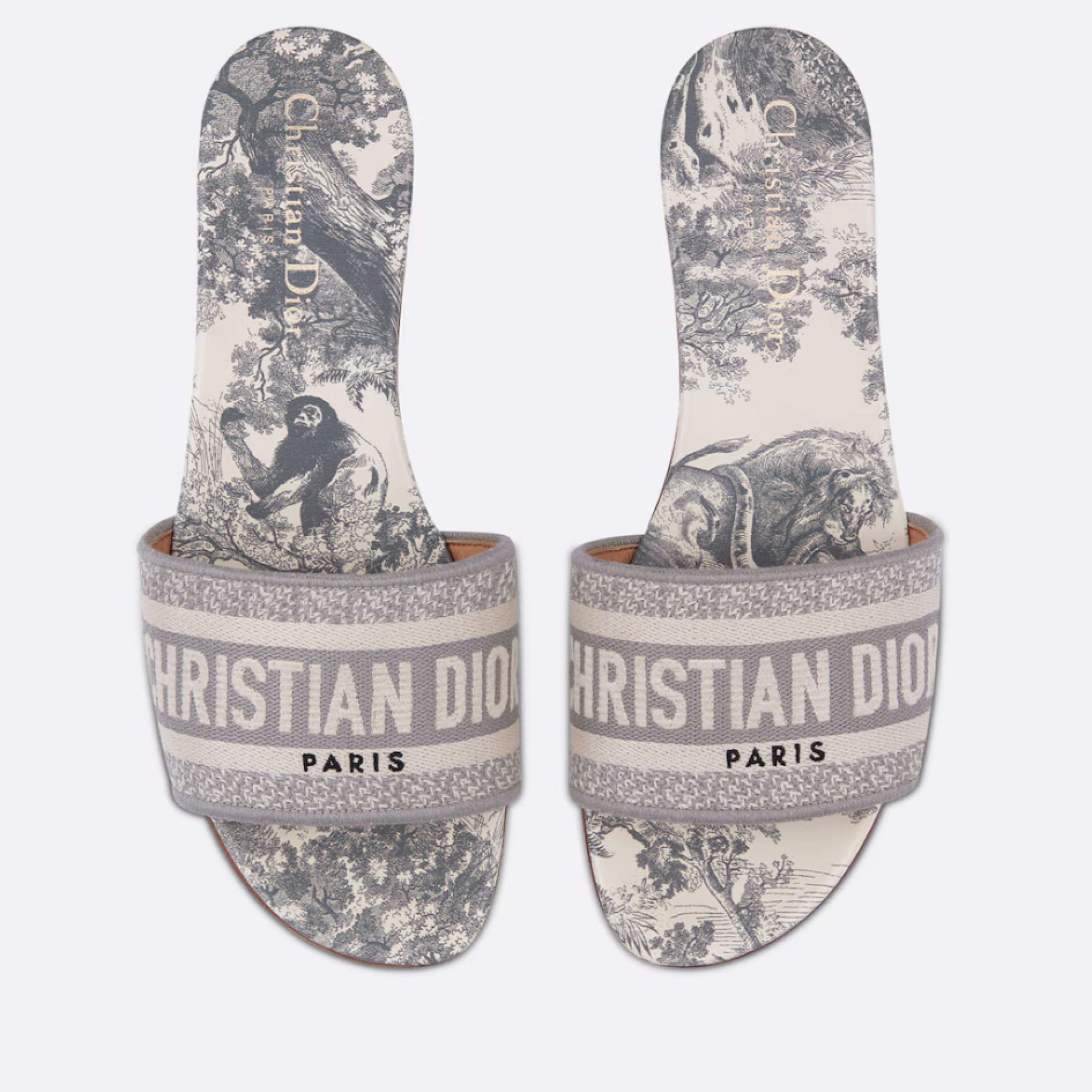 Dior Dway Slides - Gray Toile de Jouy Em by Christian Dior - Pickle