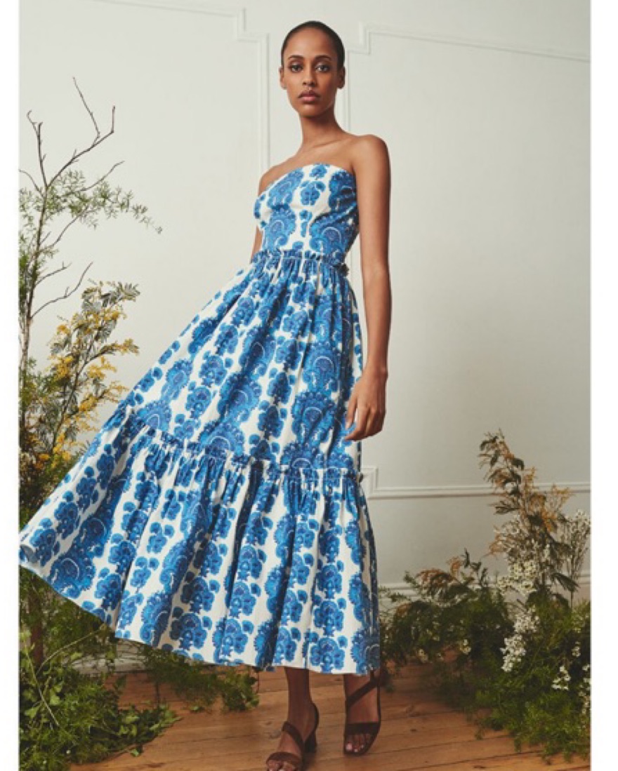 cara cara blue and white dress OTM Exclusive: Perla Dress in Blue Stems main image 1