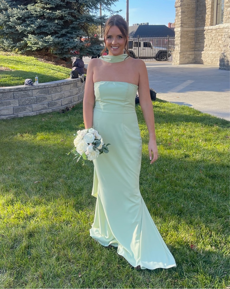 green oh polly dress Embellished A-Line Semi-Sheer Mini Dress in Emerald Green main image 1