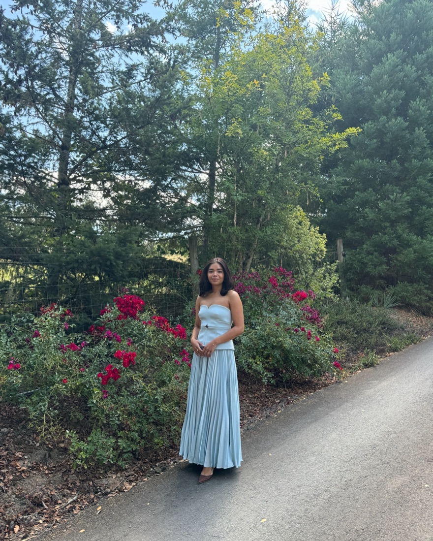 acler blue flower dress Flora Appliqué Dress Sky Blue main image 0