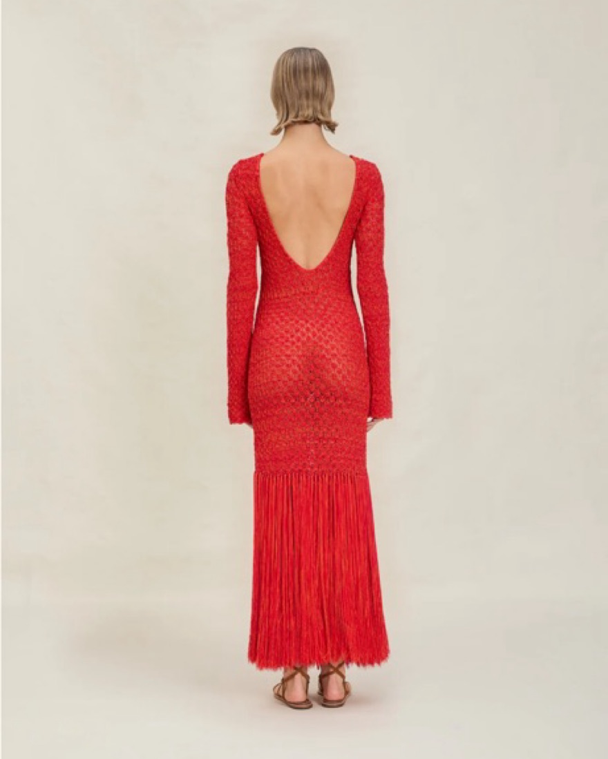 Devon Windsor Fringe Dress by Devon Windsor - Pickle