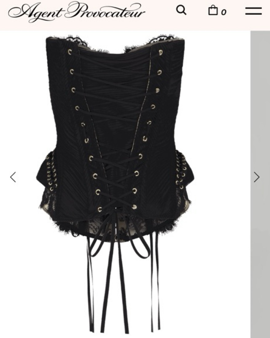 $1300 Raphaella Corset Agent Provocateur by Agent Provocateur - Pickle