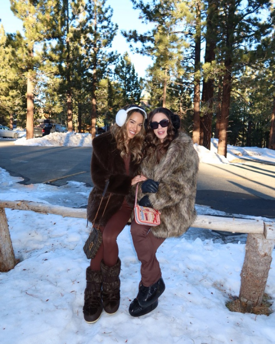 【rrr】Luan POODLE FUR COAT ブラウン Zara Brown Fur Coat | Pickle