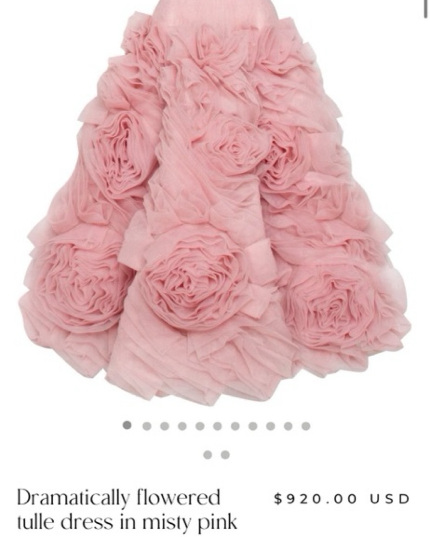 dramatically flowered tulle dress in misty pink Dramatic flowered organza midi dress in Misty rose, Glow-Up XXS / 0 / Misty Rose