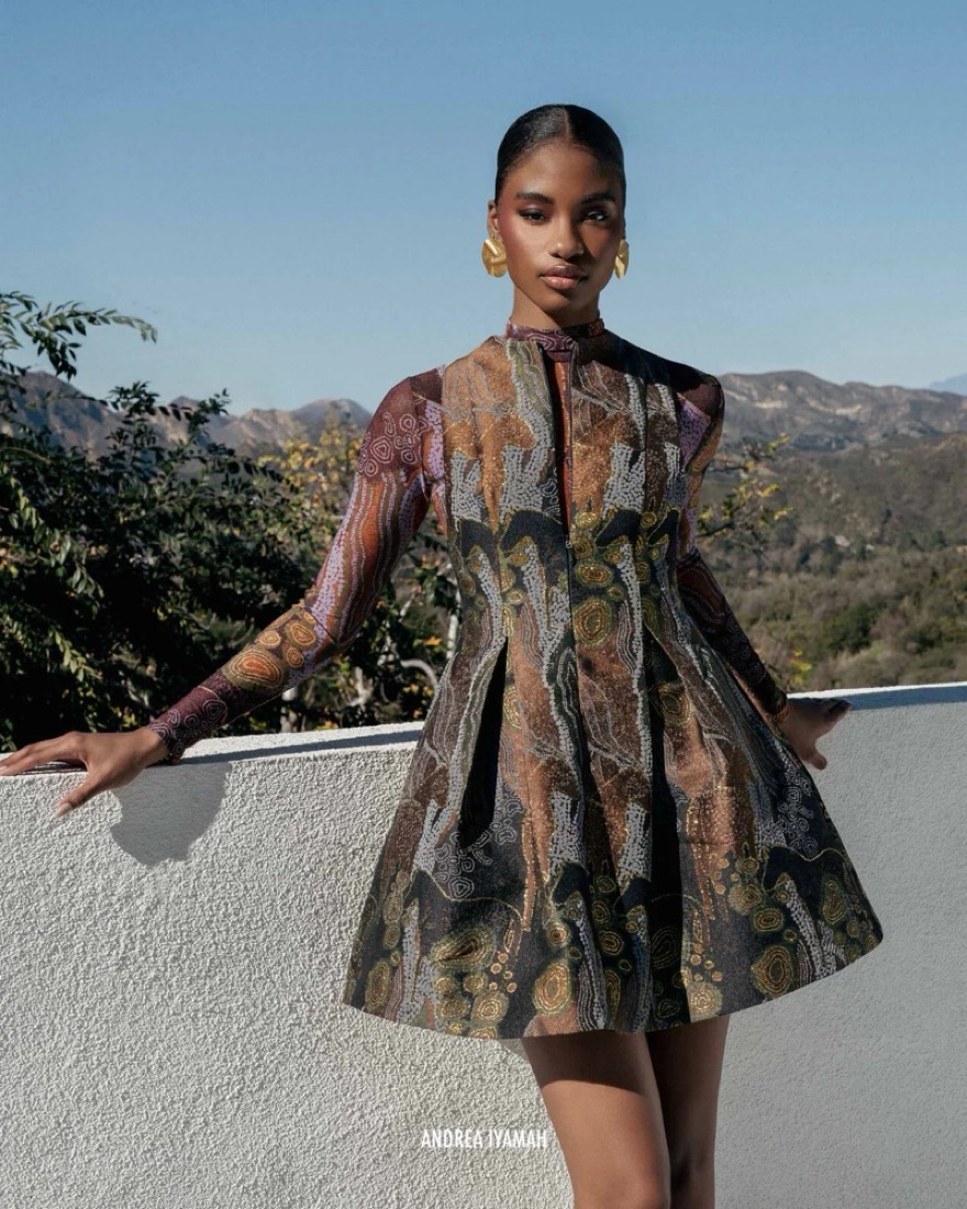 ANDREA IYAMAH VENTI DRESS -KAVA JACQUARD by Andrea Iyamah - Pickle