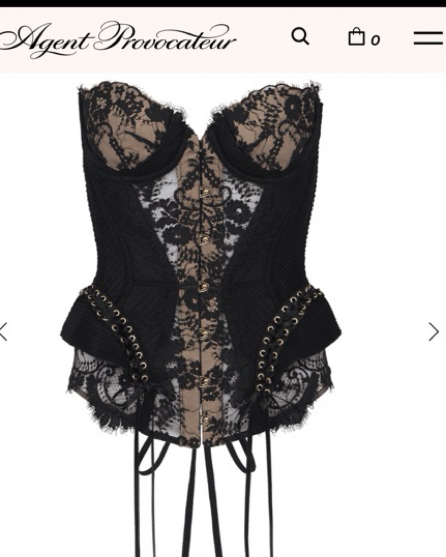 $1300 Raphaella Corset Agent Provocateur by Agent Provocateur - Pickle