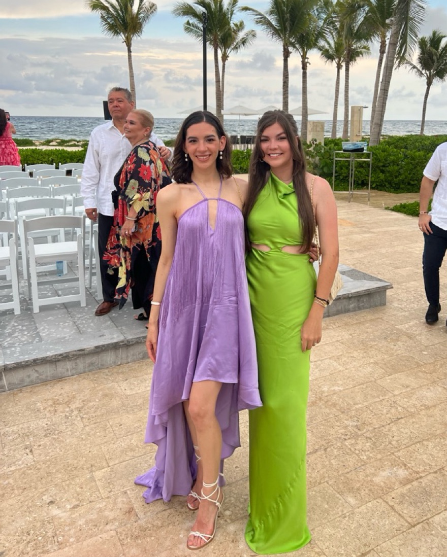 X revolve Generosity Dress by Michael Costello - Pickle