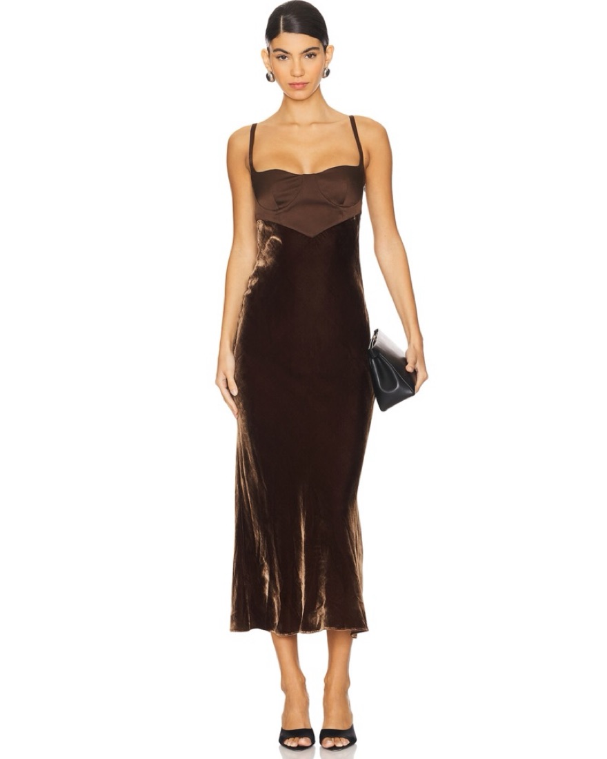 Anna October Velvet Dress | Pickle