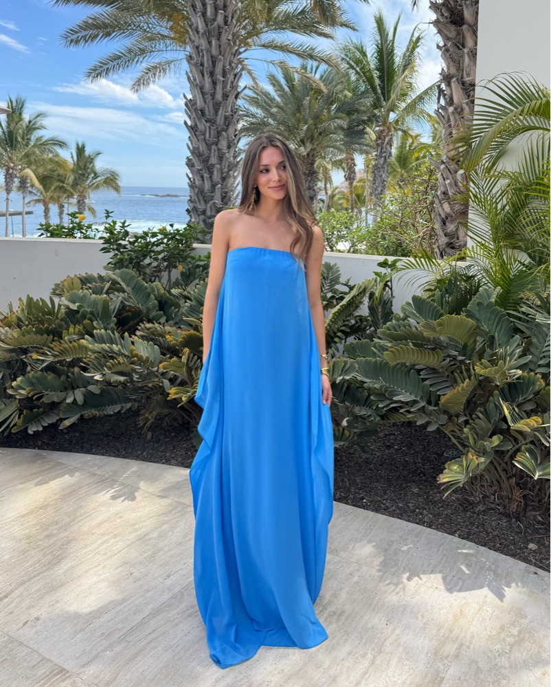 Christopher Esber Strapless Maxi Dress by Christopher Esber - Pickle