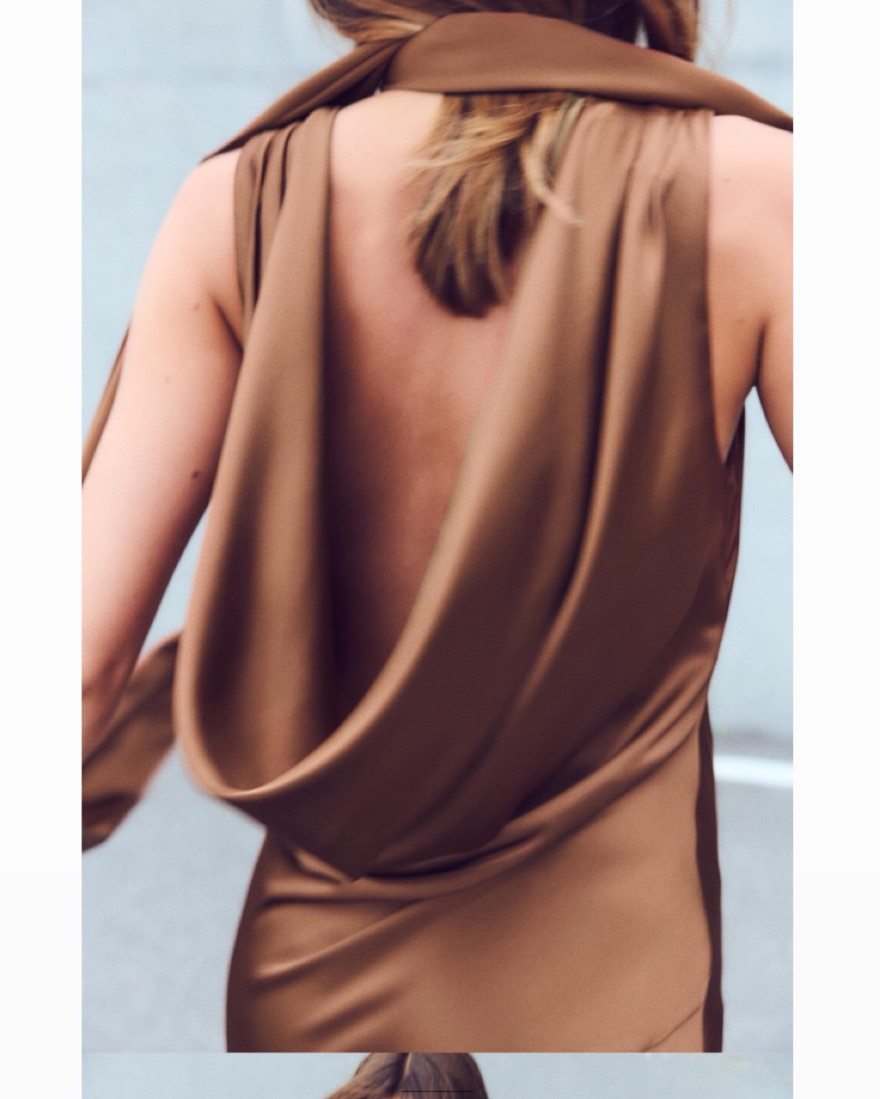 Zara Brown Silk Dress With Neck Scarf by Zara - Pickle