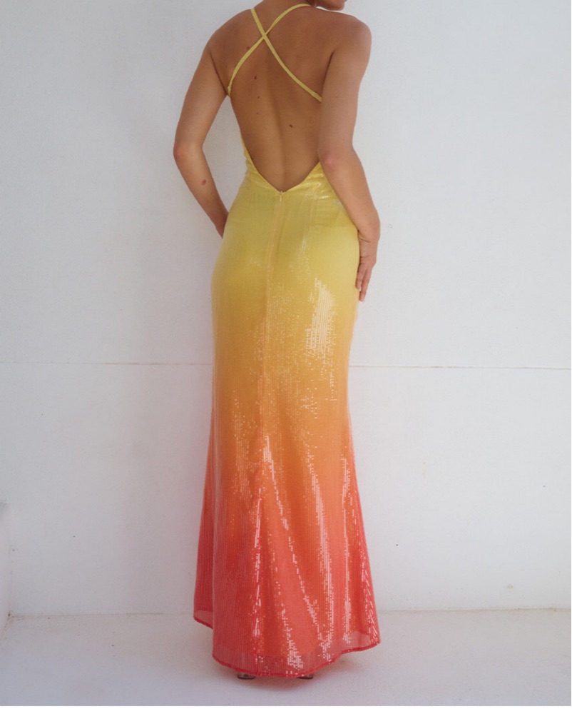 elegant v neck maxi dress Isadora™