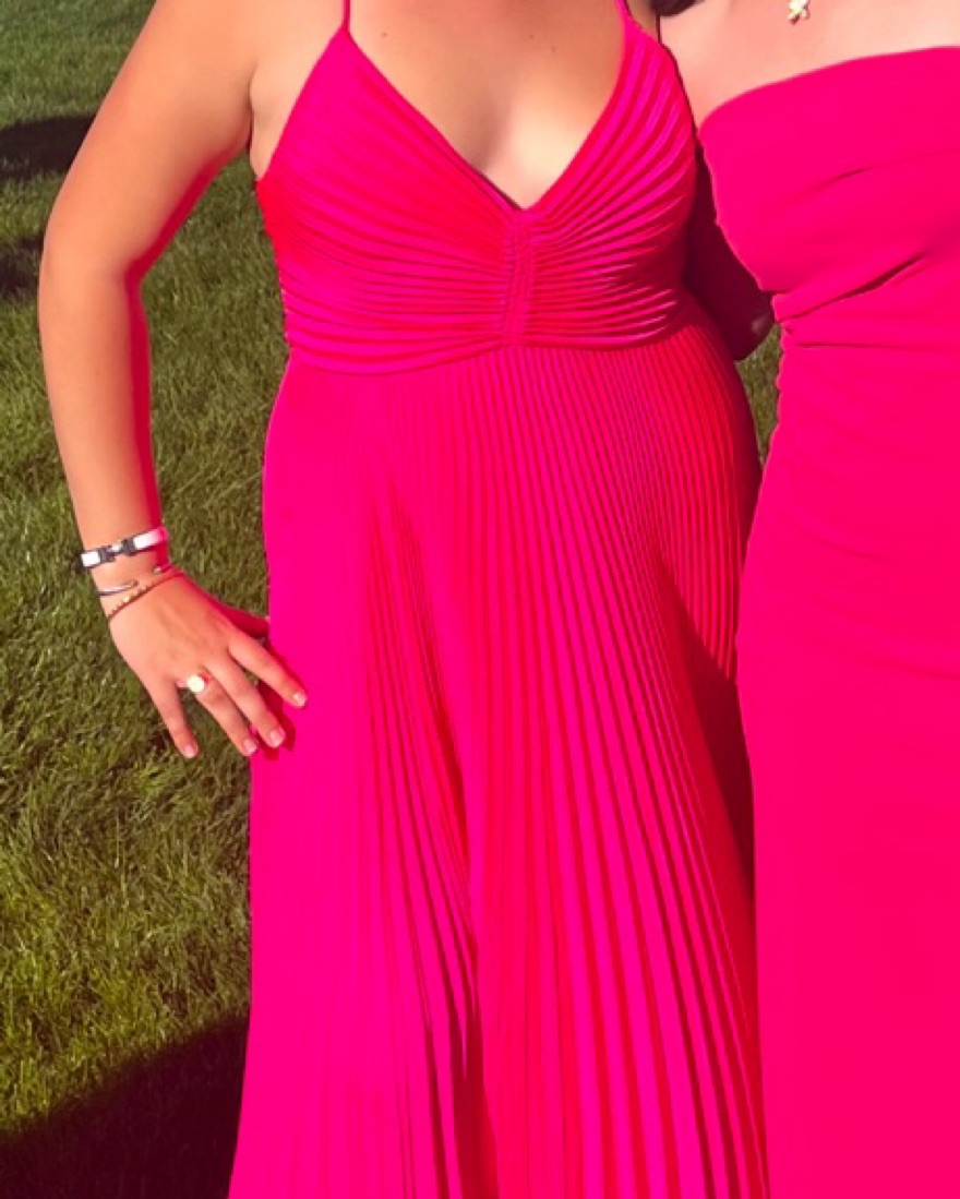 alc hot pink dress A.L.C. Rio Pleated Maxi Dress Gown in Neon Pink Size 6
