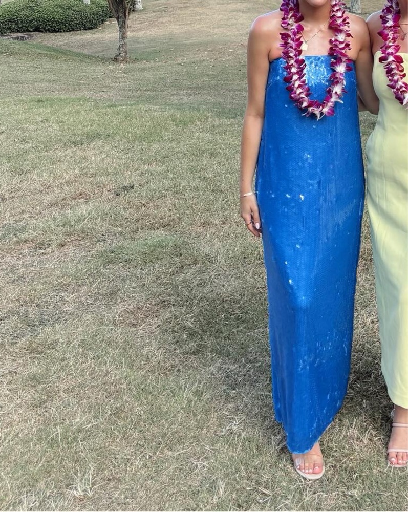 staud blue sequin dress Staud Casey Sequined Strapless Gown