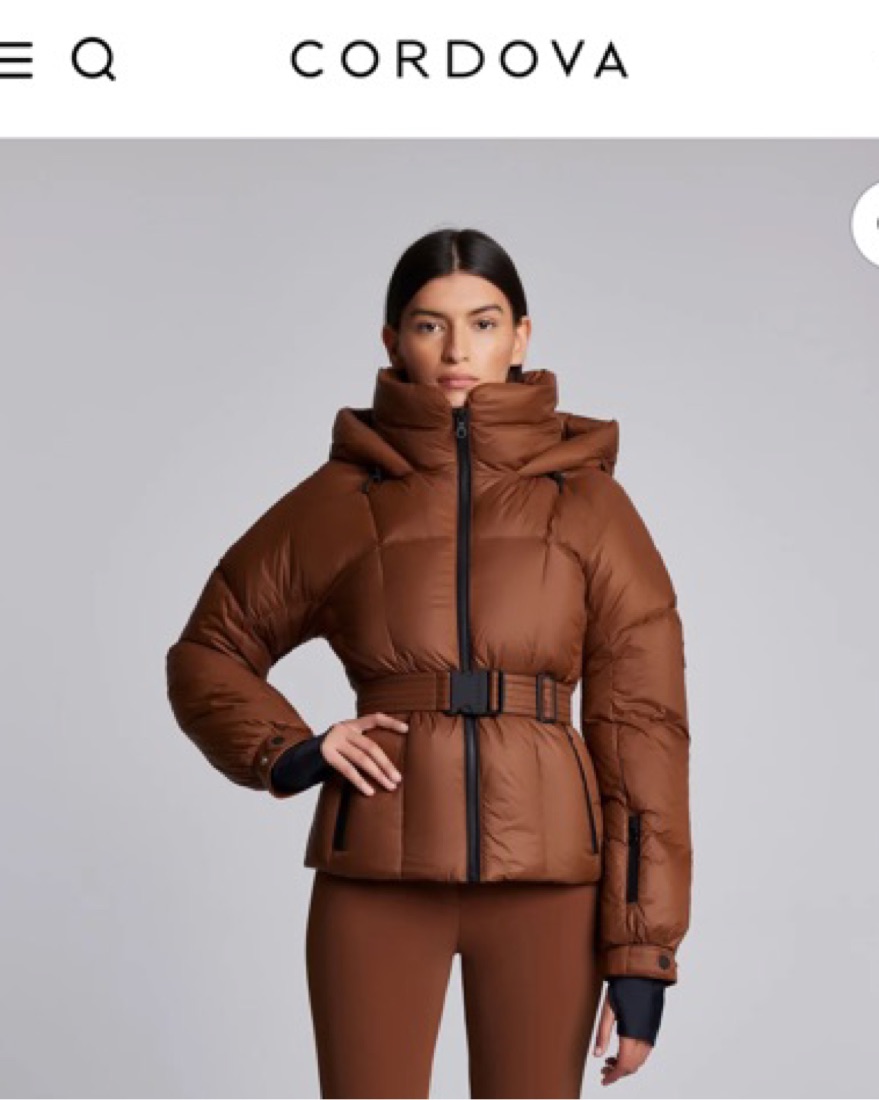 Cordova Monterosa Black Ski Jacket by Cordova - Pickle