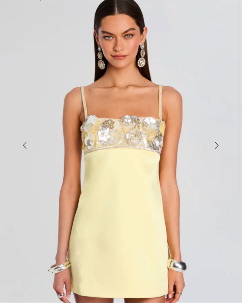 marchesa notte embroidered dress Marchesa Notte Sleeveless Embroidered Tea-Length Gown - Nude - Brown main image 0