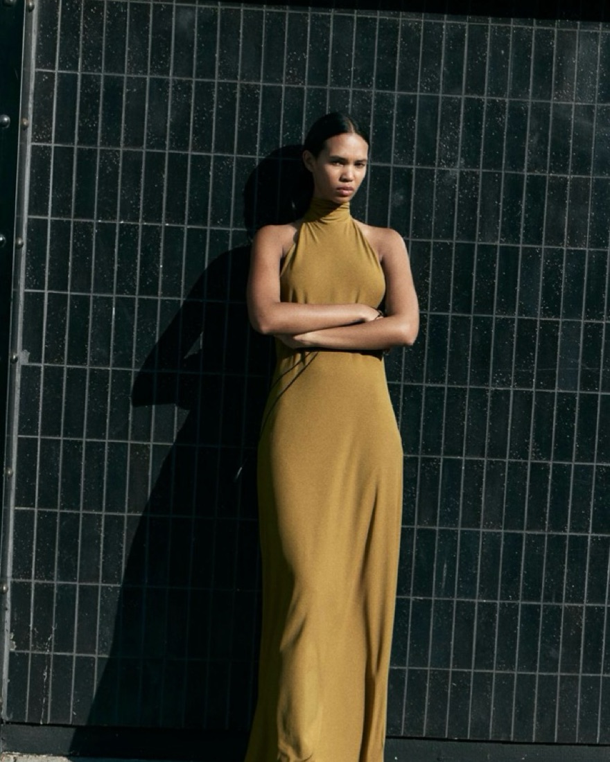 Zara Long Open Back Halter Dress by Zara - Pickle