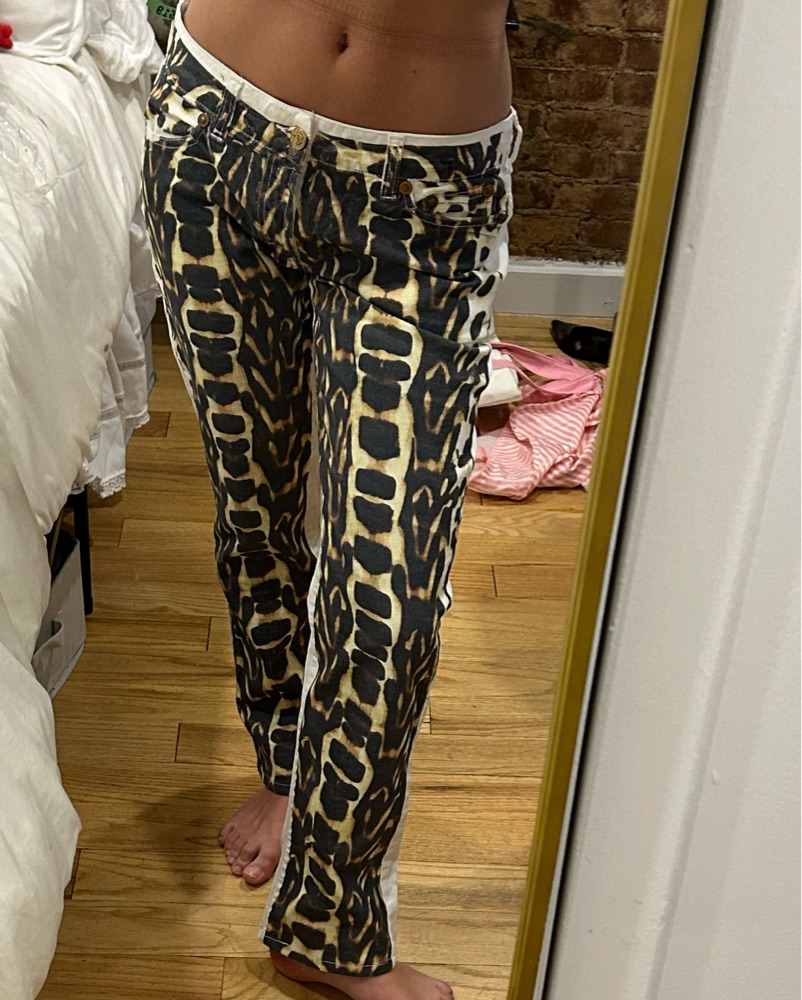 Vintage Cavalli Pants by Roberto Cavalli - Pickle