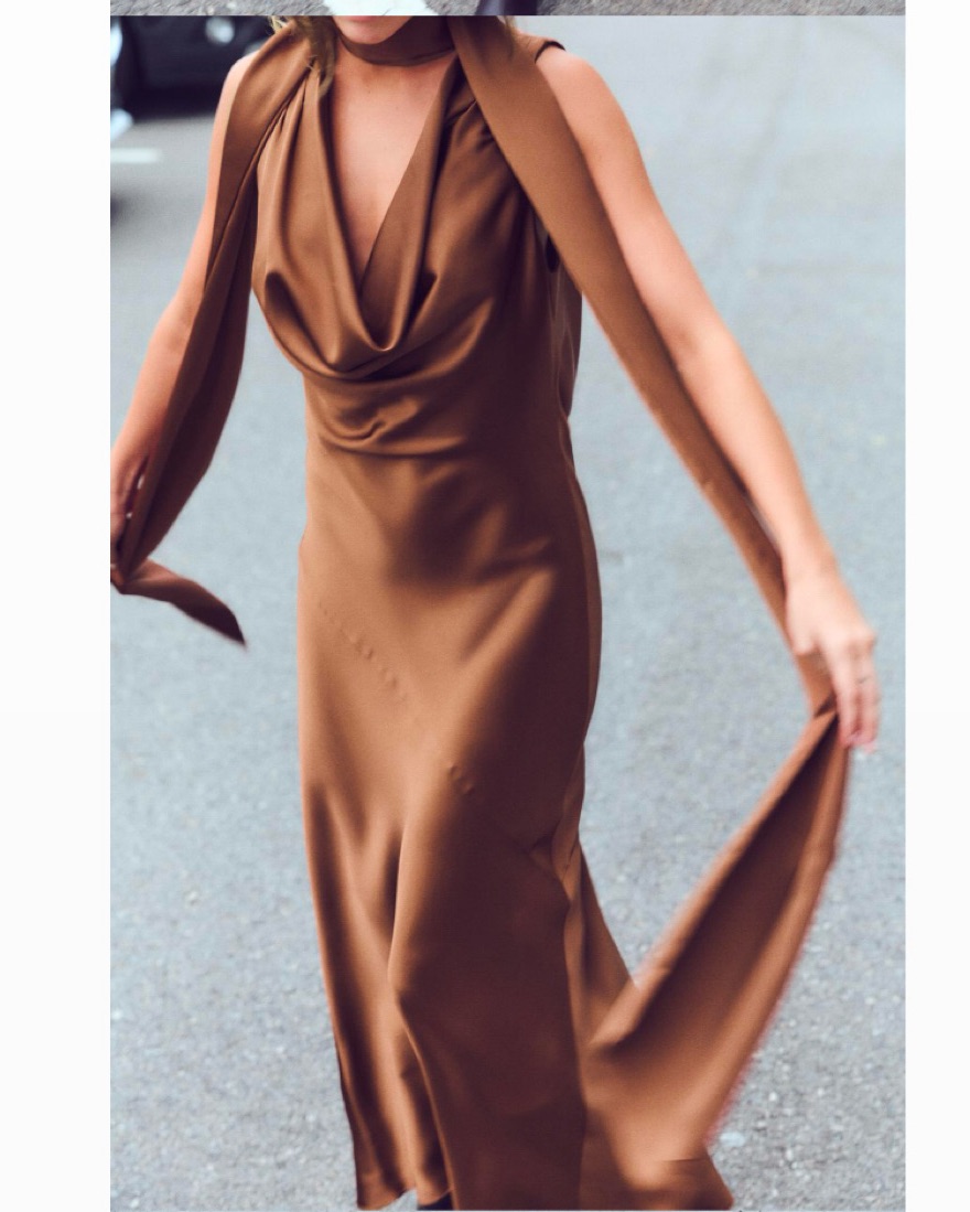 Zara Brown Silk Dress With Neck Scarf by Zara - Pickle