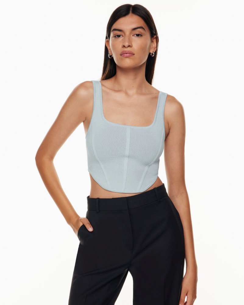 Aritzia Ribbed Blue Top by Aritzia - Pickle