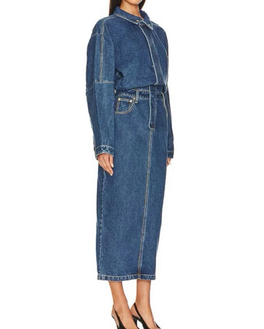 ronny kobo denim dress Ronny Kobo Sebastian Dress in Medium Wash
