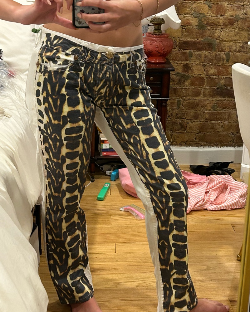 Vintage Cavalli Pants by Roberto Cavalli - Pickle