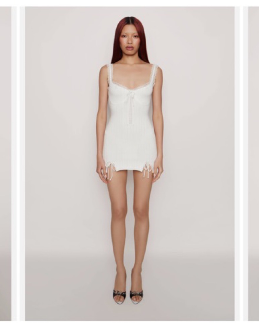 新中古品 DANIELLE GUIZIO ダニエルギジオ ニット セットアップ Danielle guizio Dainty Lace knit mini | Pickle