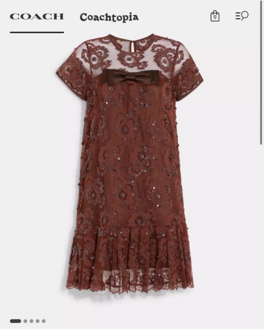 coach sequin dress Sequin Round Neck Long Sleeve Mini Dress  The Enchanted Coach, LLC