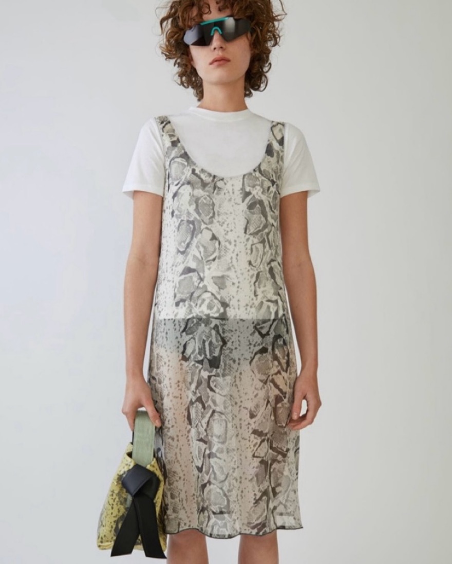 Acne Studios Snake Skin Sheer Dress | Pickle