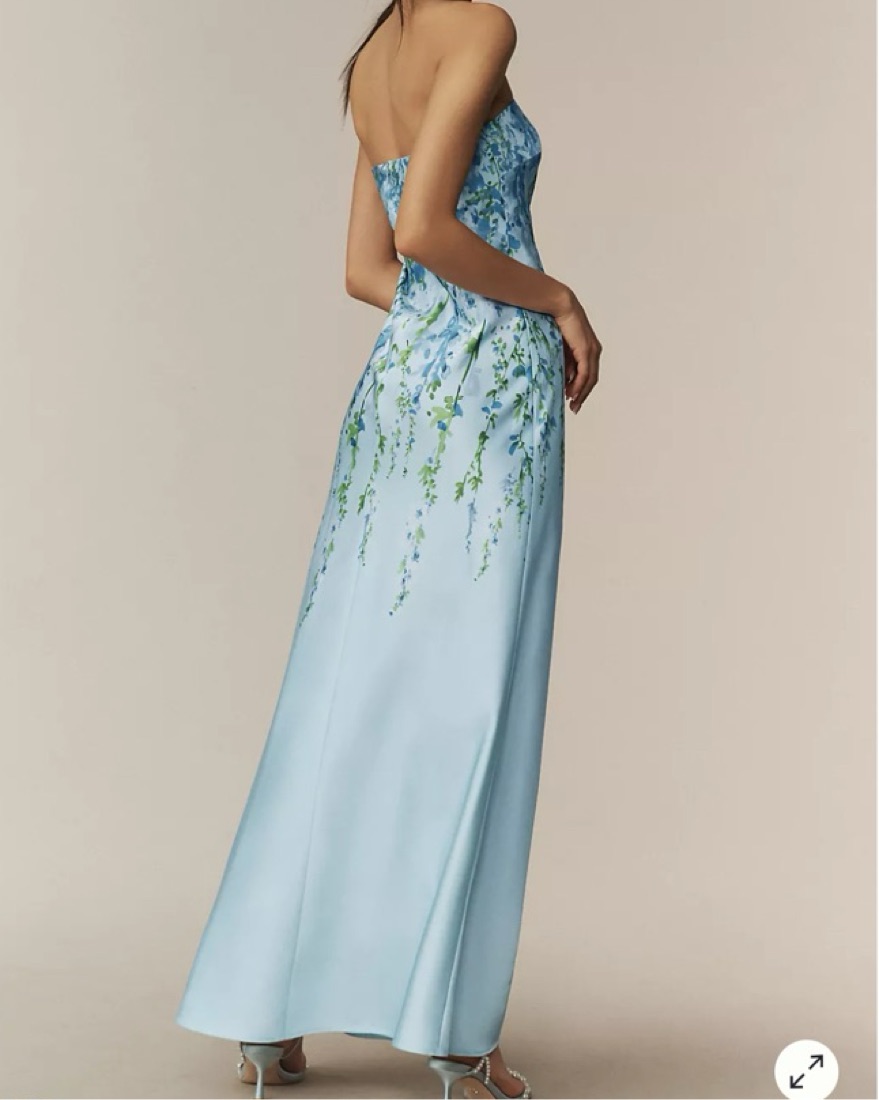 BHLDN Mia Strapless Column Maxi Dress by BHLDN - Pickle