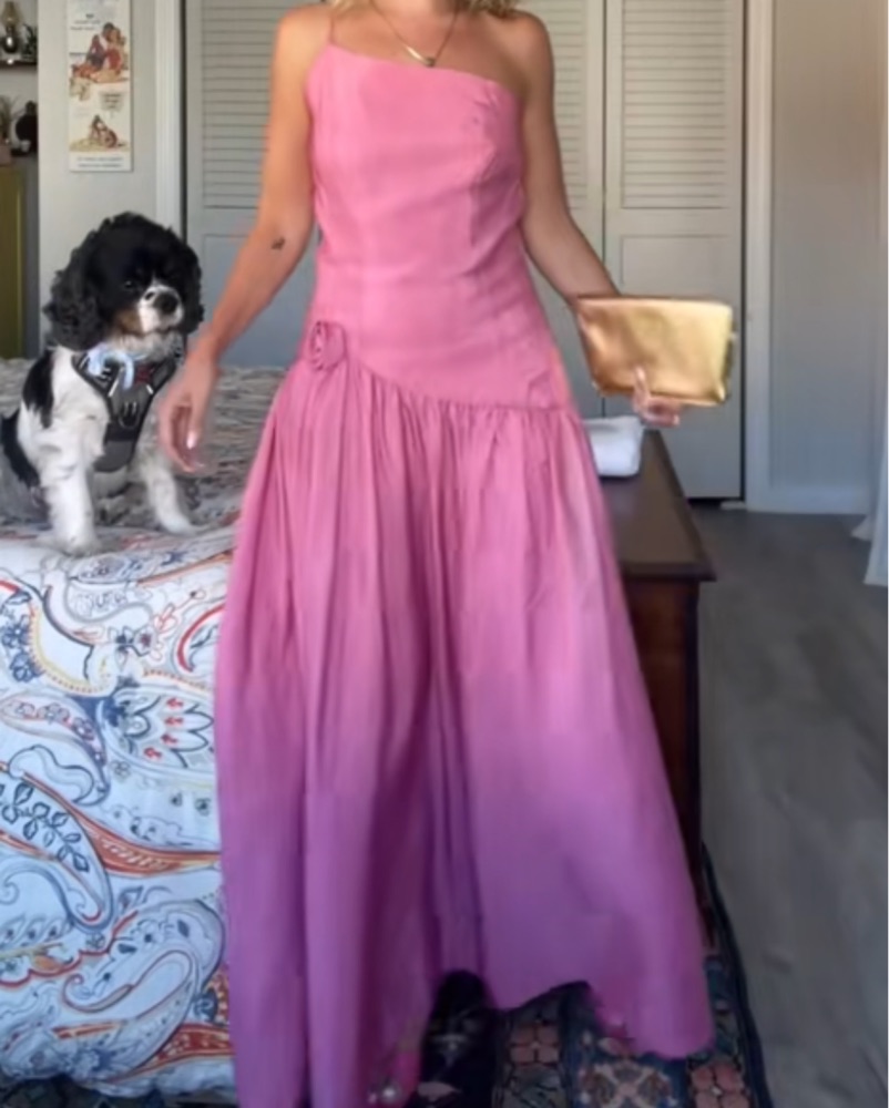 drop waist dress summer Joie main image 0