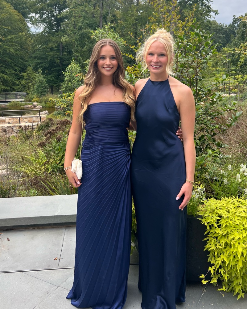 alc prom dress Rent ALC Dresses