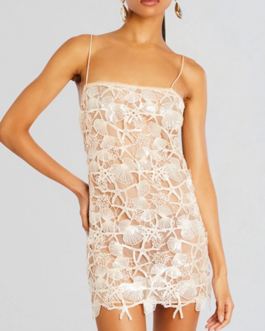 Retrofete Jaala Sequin Lace Dress by Retrofete - Pickle