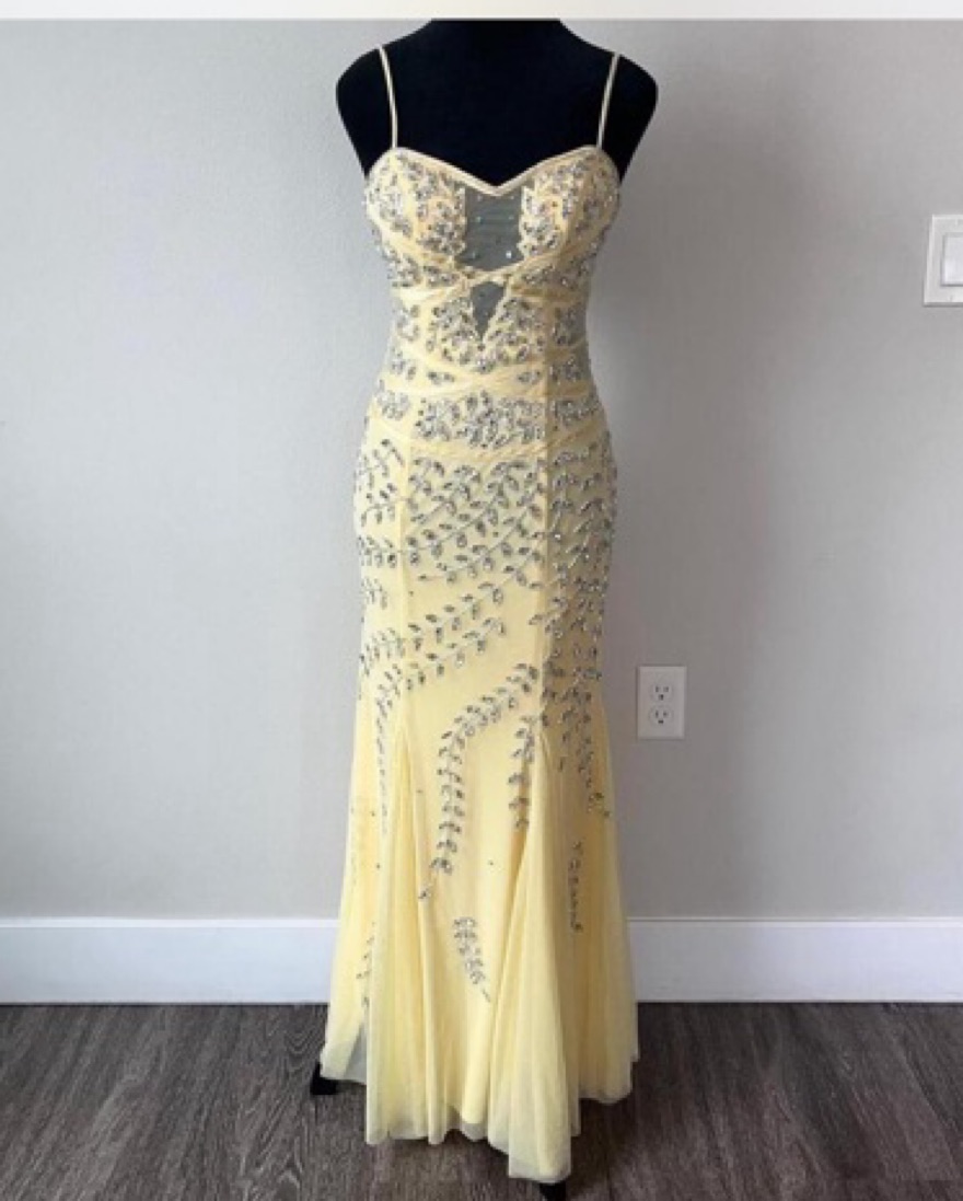 Cache Vintage Butter Yellow Gown Xs by LoveShackFancy - Pickle